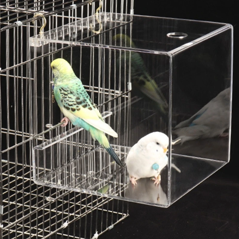 Boîte pour oiseaux avec support, Cage à oiseaux pour perroquets, accessoire salle douche suspendu