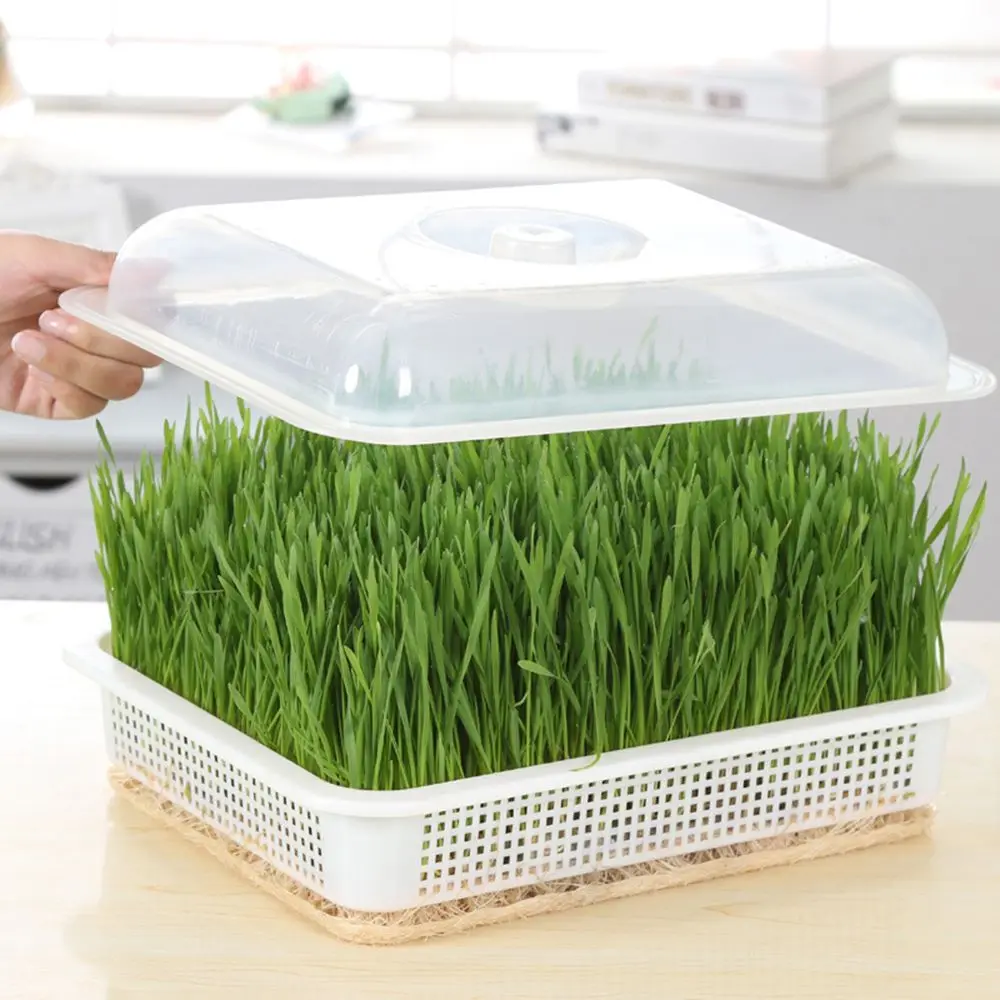 1pc Plastic Grow Nursery Pots Vegetable Soilless Nursery Trays Seed Germination Tray Seedling Sprout Plate Pots Tray
