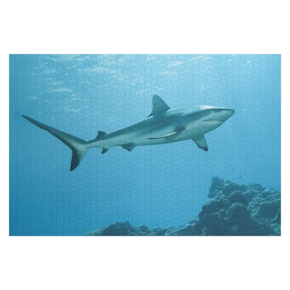 

Reef sharks Elegant hunters Jigsaw Puzzle Custom With Photo Personalized Toys Wooden Compositions For Children Puzzle