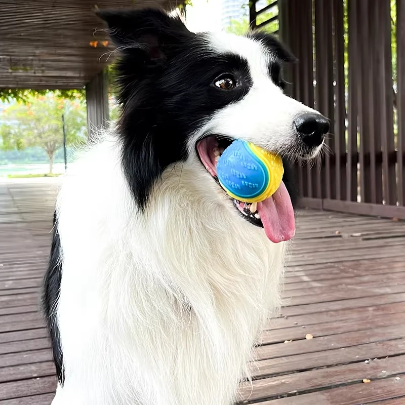 Dog Toy Ball Dogs Chew Ball Interactive Toys Soft TPR Toys for Dog Pet Teeth Cleaning Bite Resistance Squeaky Dog Ball Toy Pet Products