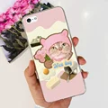 Case-c04