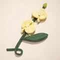 Yellow HDL