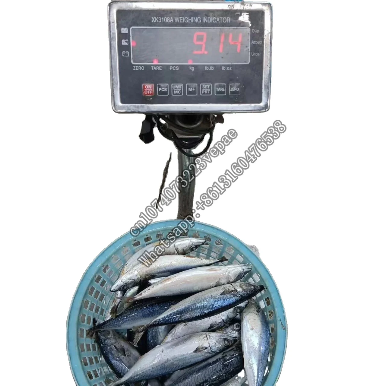 

304 SS Weight Bench Scale Waterproof IP68 Indicator Platform Scale