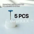 5PCS DP13M
