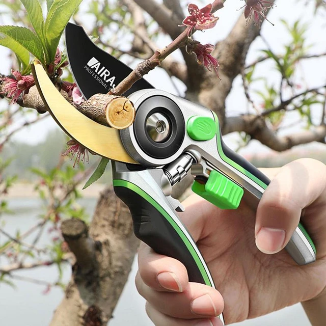 Sécateur De Vergers Et Outils À Main De Jardin Bonsaï Pour Ciseaux De  Jardinage, Machine À Découper, Sécateur, Débroussailleuse Professionnelle -  Élagage Outils - AliExpress