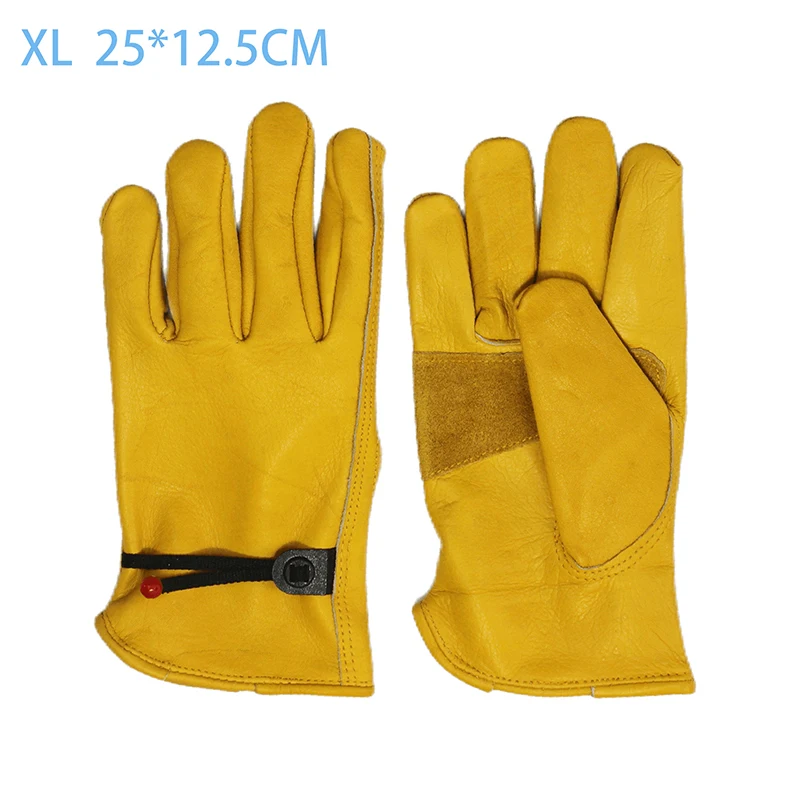 XL