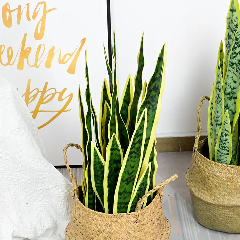 Online Artificial Snake Plants Indoor Sansevieria Trifasciata