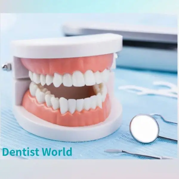 Dentist World Store
