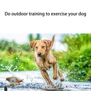 Pet Dog Training Fake Duck The Bird Dummy Teaches Mallard Waterfowl Game Retrieval Duck Bite Chewing Toys Perfect Size For All 5