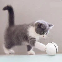 Cat Smart Interactive Cat Toy with LED Light – Motion Activated Kitten Ball