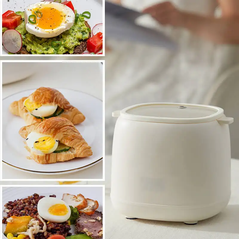 Cuiseur à œufs électrique intelligent, 300W, machine à petit-déjeuner,  crème anglaise, cuisson à la vapeur, arrêt automatique, outils de cuisson  pour omelette générique - AliExpress