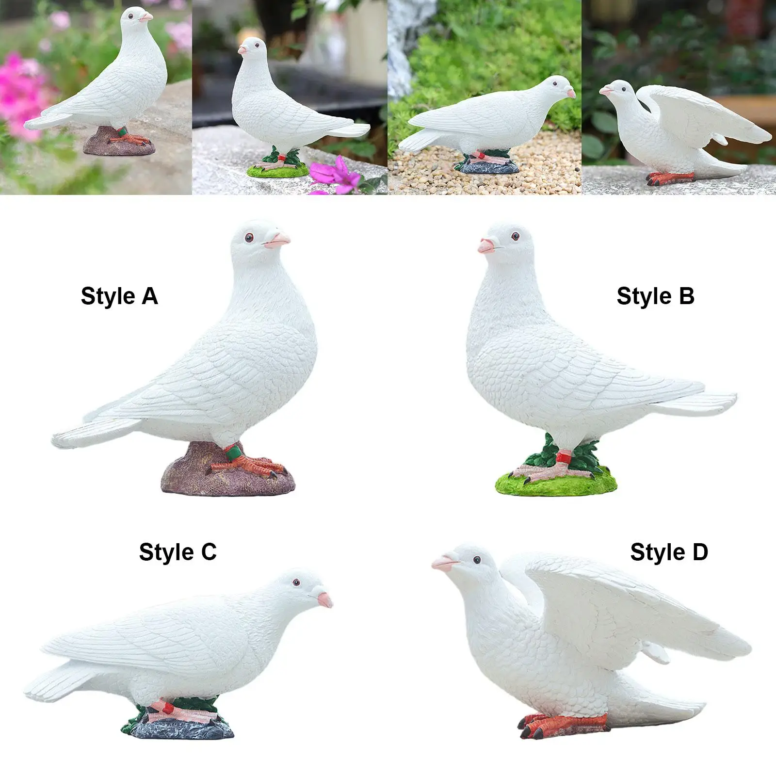 Witte duiven, bruiloft, decoratieve duiven, vogels op Witte duiven, bruiloft, decoratieve duiven, vogels op