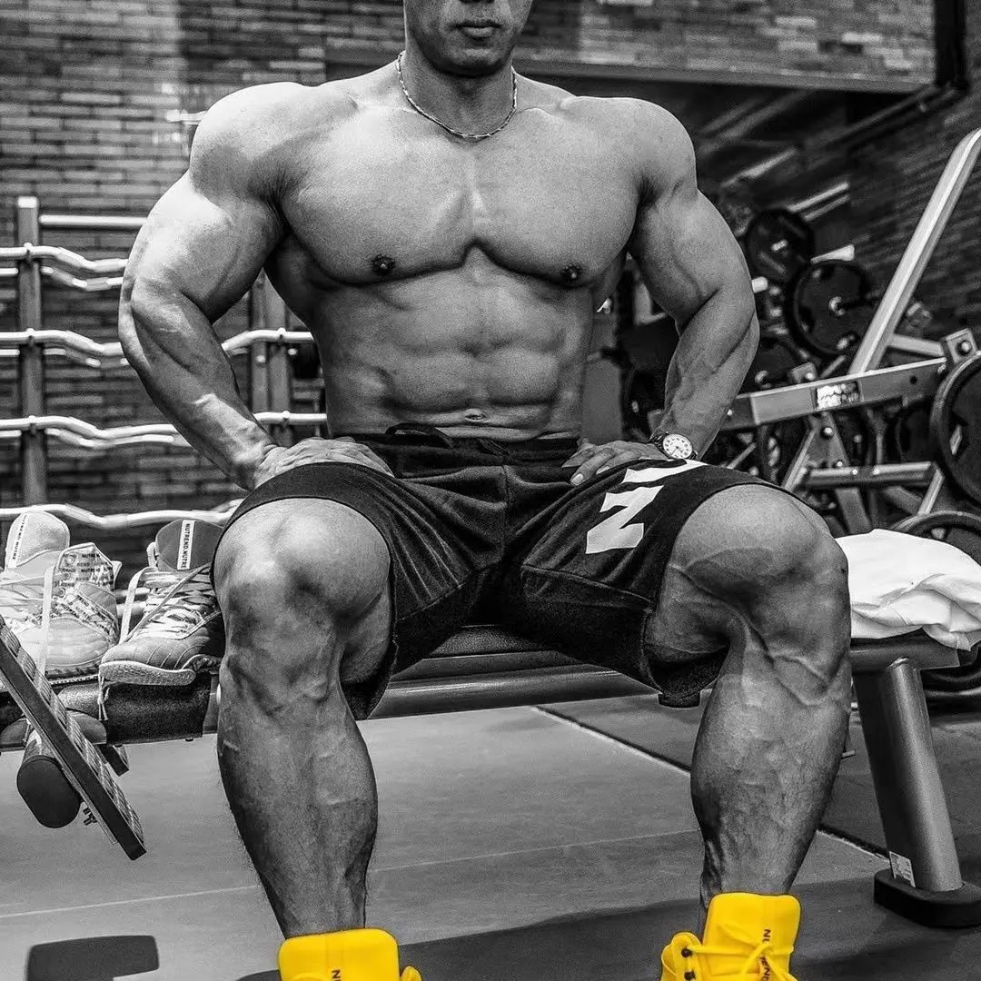 Men's Boxing Shoes Professional Wrestling Shoes Classic Comfort Fighting Boxing Boots Training Gear Sneakers