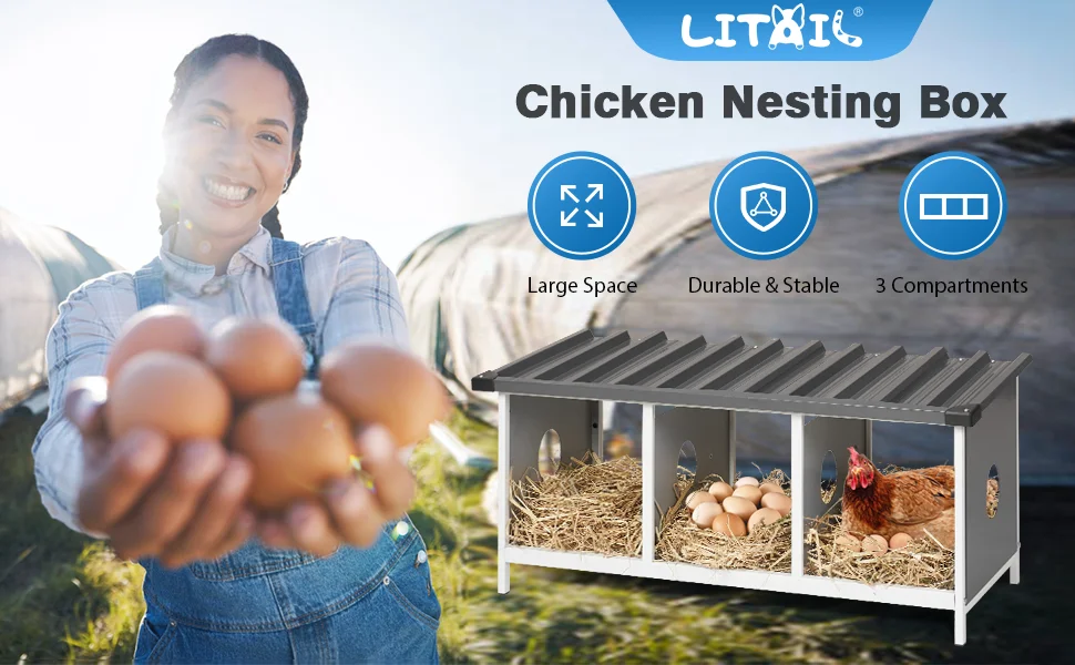 chicken nesting box