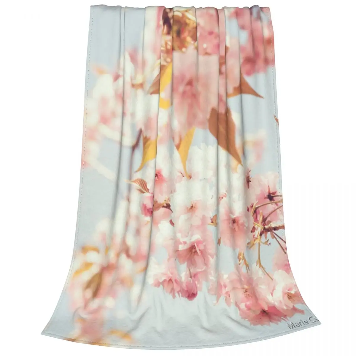 ���� ħ��� ���� �帲 ��� ħ�뺸, �׸� ���� ��ġ ħ�뺸