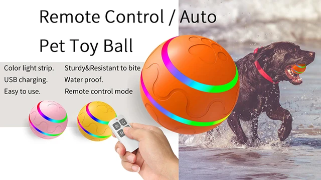 Smart Interactive Dog Toy Ball for Puppy Indoor waterproof Bite Resistant  Glowing Remote Control Cat Dog Ball Dog Accessories