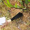 Metal Garden Tools Digging Transplanting Vegetables Flower Planting Hand Shovels Hoe Weeding Shovel Potting Soils Scoop Spade 4
