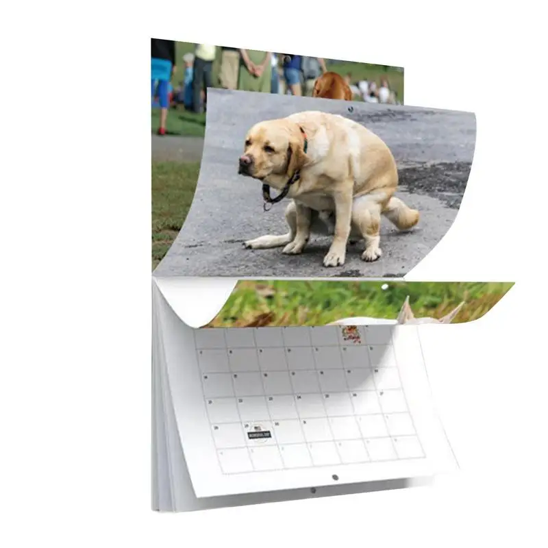 

Wall Calendar 2024 Dog Pooping Monthly Wall Calendar 2024 Funny Hangable Paper Calendar For Home Hostel Living Room Hotel