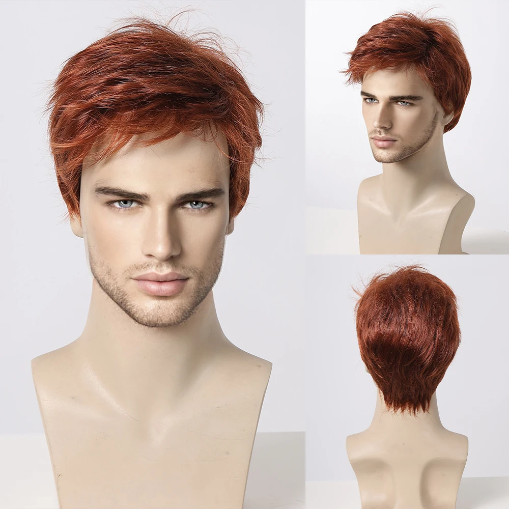 Perruque Courte Pour Homme Cheveux Humains Brun Clair Avec Mèches Blanches - Modèle ALAN 6SPW, 35cm