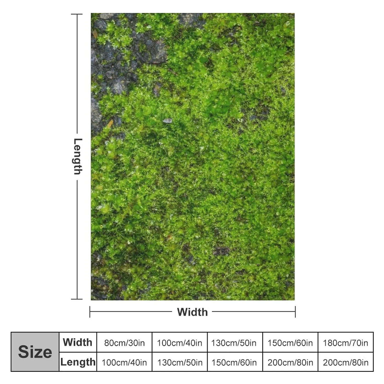 �̳��� ���� V ���ο� ���, ��Ƽ�� ���� ���, ���� ħ�� ���� ���� ��� �� ���