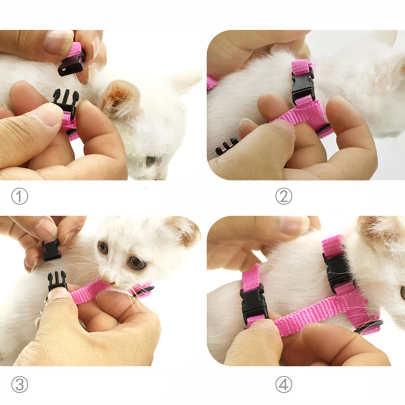Angel Wings Pet Harness Set 3