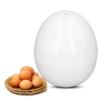 Egg Cooker Egg Boiler Hard Boiled Egg Cooker 4 Eggs Capacity Compact Design ABS Material Egg Shape Microwave Function Egg Boiler 4