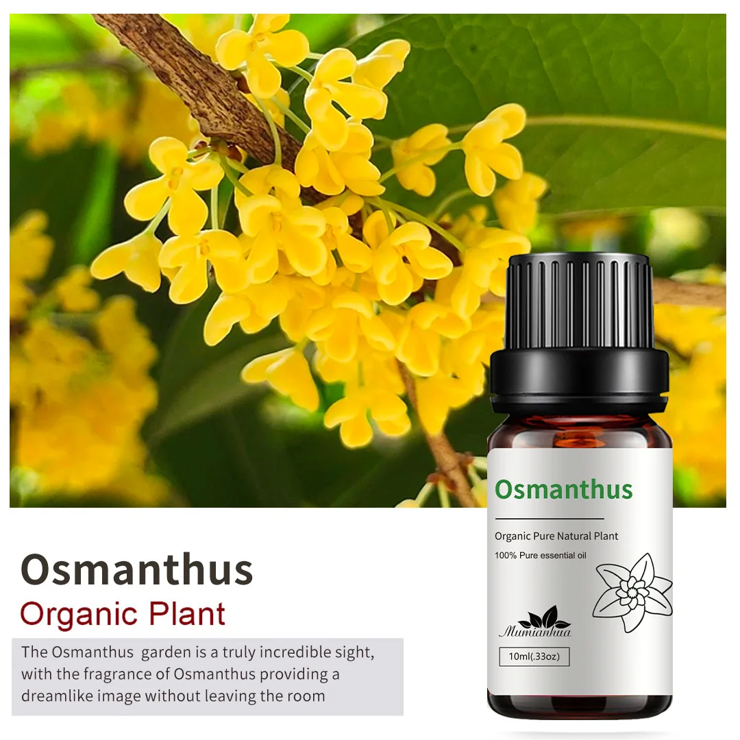 Freesia Jasmine Aromatherapy Essential Oil - 10ml Flower Scent