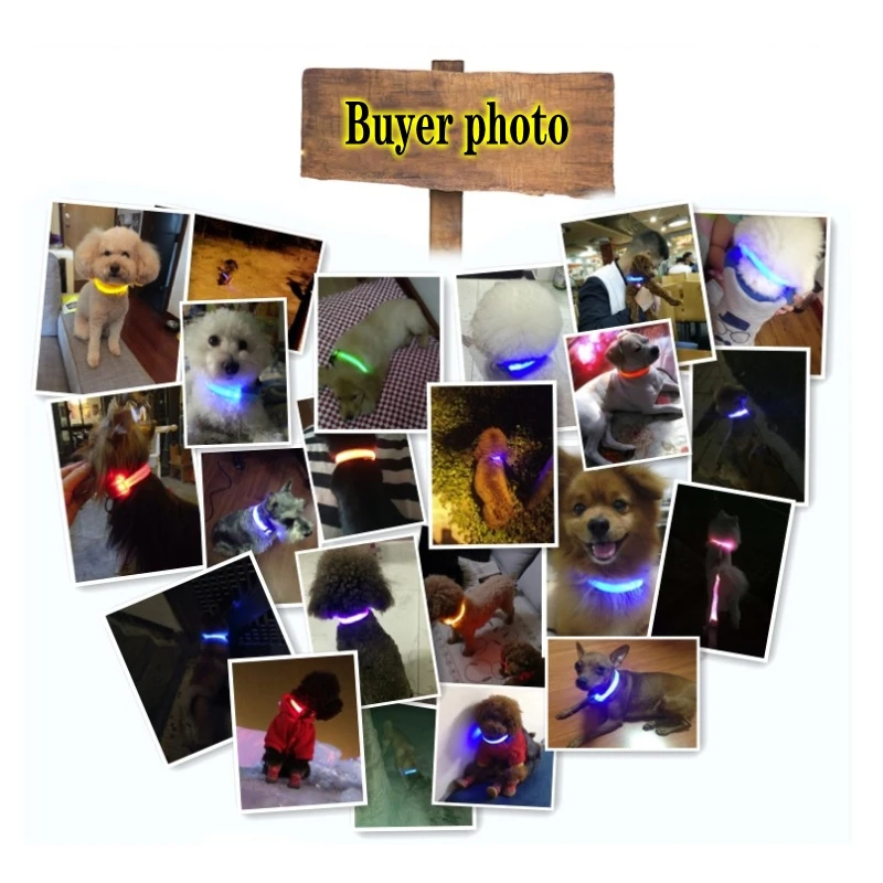 3 Light Modes - Dog Reflective Collar