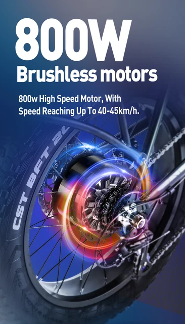 스릴 넘치는 모험을 위한 빈티지 스타일 전기 자전거