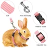 Low Price Rabbit Cat Harness and Leash Set Adjustable Nylon Harnesses for Bunny Kitten Pet Outdoor Walking Supplies Accessories 4