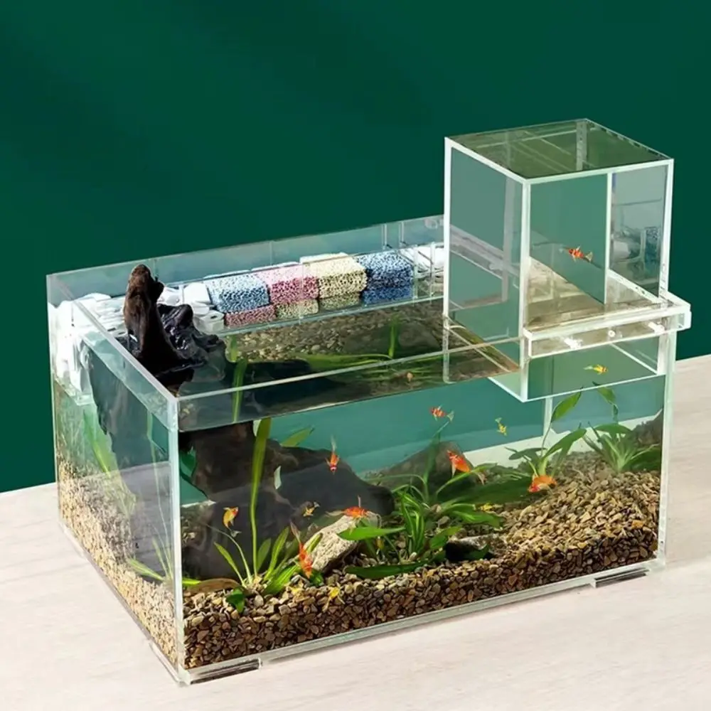Landscaping Negative Pressure Fish Tank Unique Easy to Install Acrylic Suspended Fish Tank Eye-catching