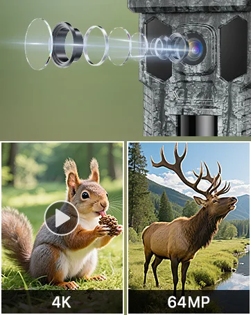 trail camera