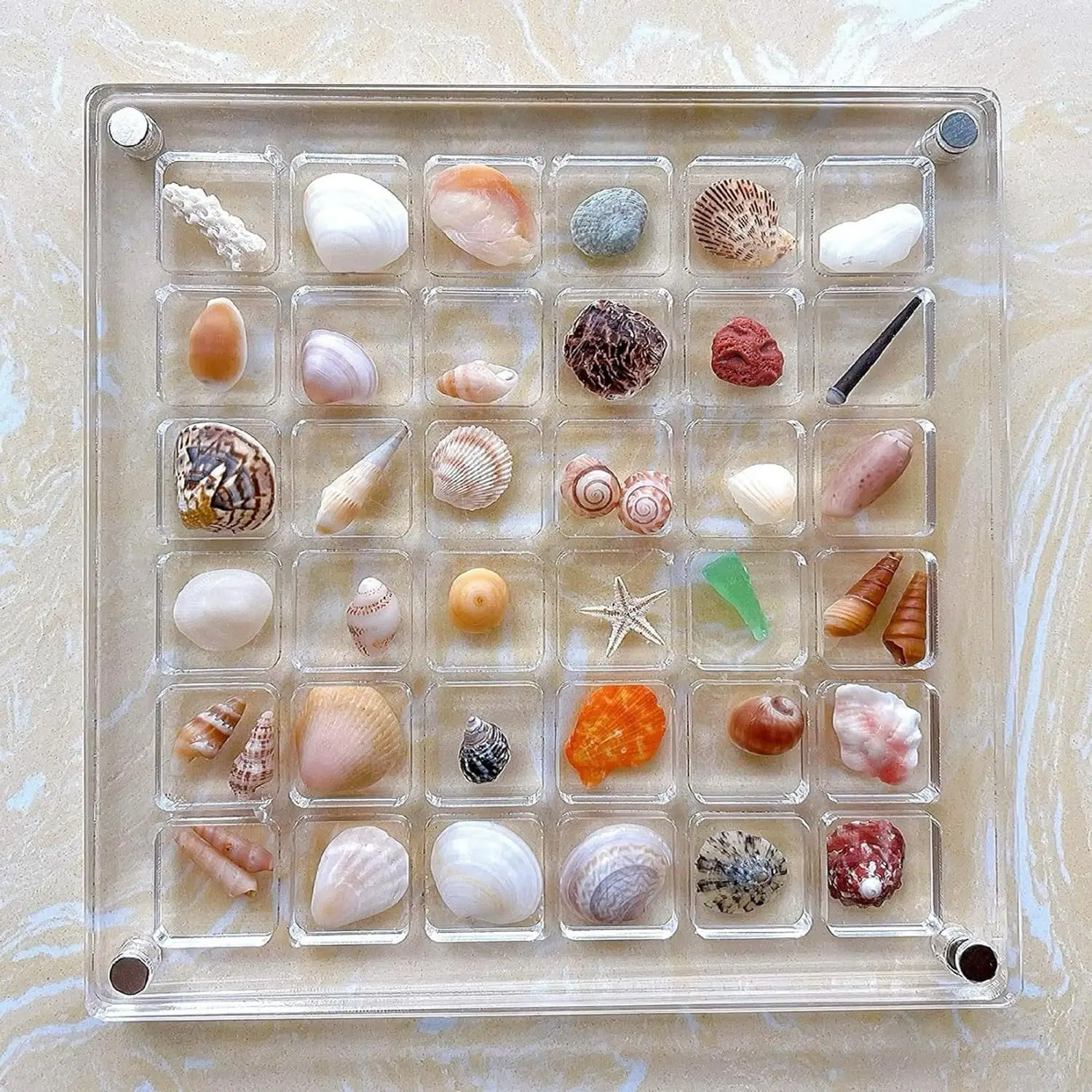36-Grid Acrylic Seashell Display Box with Magnets Durable Starfishs Trinket Storage Case for Bead Nail Jewelry Chic Gife 4