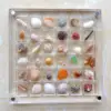 36-Grid Acrylic Seashell Display Box with Magnets Durable Starfishs Trinket Storage Case for Bead Nail Jewelry Chic Gife 4