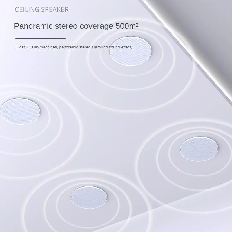 Wireless Bluetooth 30W Wall-mounted Ceiling Speaker For Home