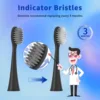 10pcs Replacement Toothbrush Heads Compatible with Burst Adult Electric Toothbrush for Seago S9 S1 S6 S8 S21 S26 S28 SG540 SG860 6