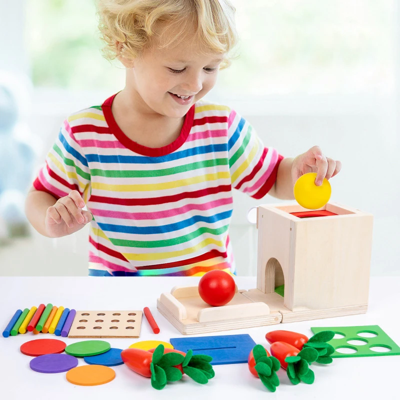 Giocattoli Montessori In Legno Per Bambini 1-3 Anni, Gioco Educativo Sensoriale Di Forme E Colori, Impilabile, Regalo Per Bimbo E Bimba