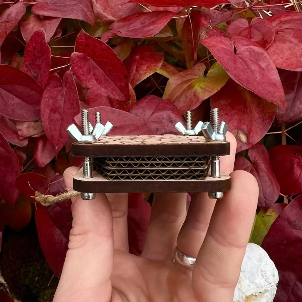 나무 포켓 꽃 압화기 DIY 휴대용 표본 엠보싱 장치 미니 창의적 압화 도구 건조 꽃 만들기