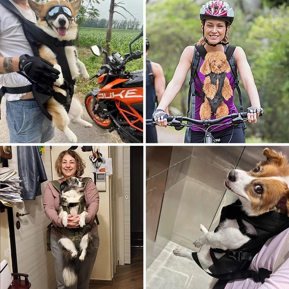 Title 14, Pet Backpack Carriers Pets Dog Carriers Bags Po...