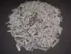 Quartz Crystal Collection 1/2 LB Natural Clear Points EXTRA SMALL Seed Crystals 4