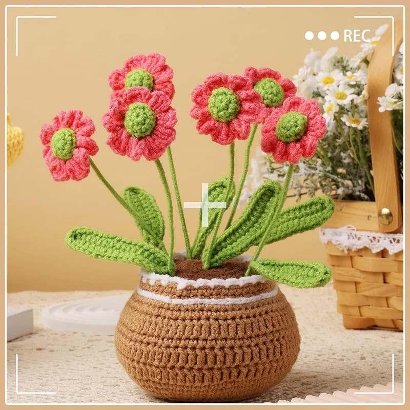 Flower Potted Crochet Knitting Kit for Complete Beginners Starter Step-by-Step Video Tutorials crochet kit
