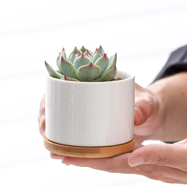 8x6cm Mini Flowerpot Simple White Ceramic Round Bottom Flowerpot For Succulent Plant Cactus Cute Gardening Planting Supplies 4