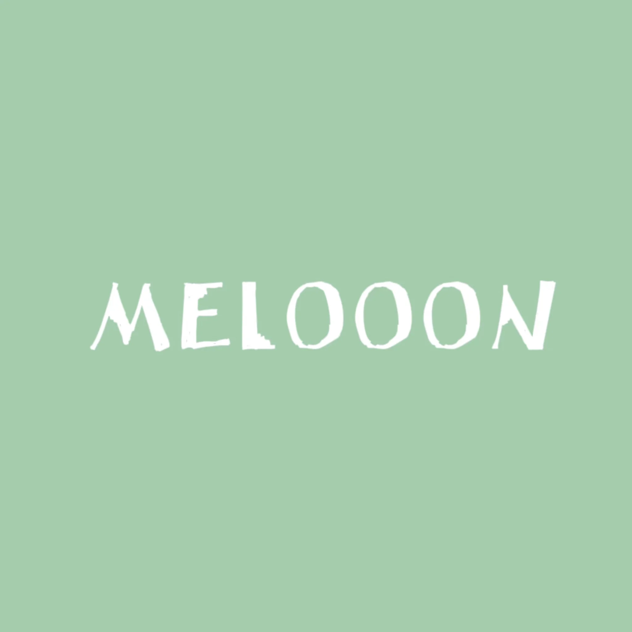 Meloooon Store