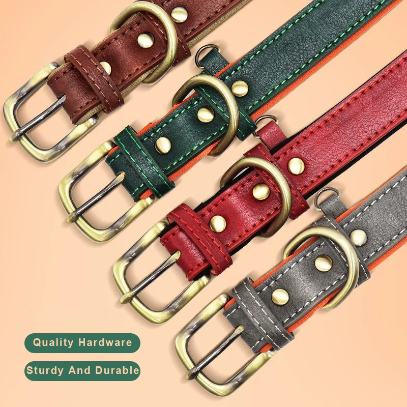 Рисунок 5 - Персонализированные Pet Собака