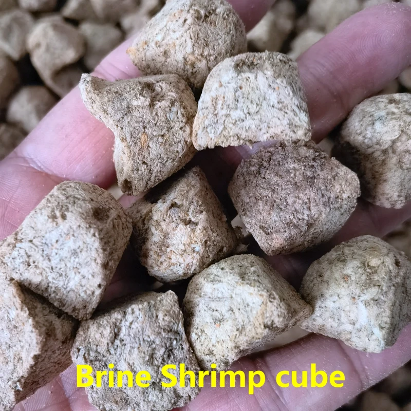 Tubifex Red Blood Worm Freeze Dried Artemia Salina Fish Food Feed Tropical Aquarium Small Fish fish aquarium