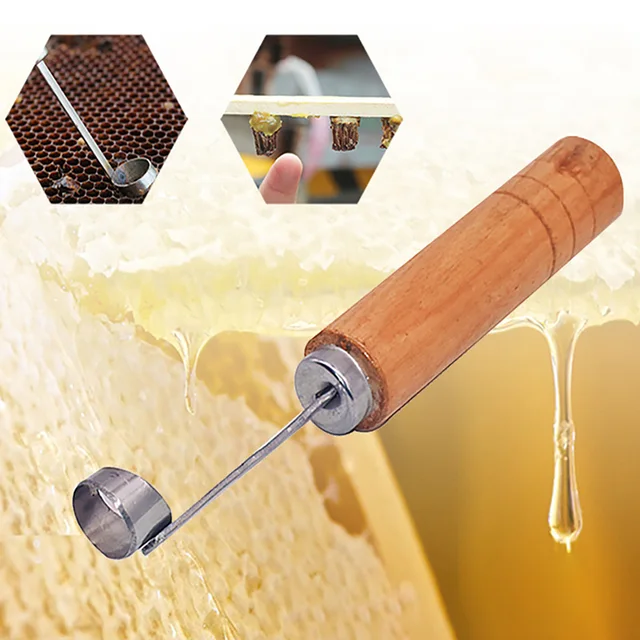 Királynő Nevelő Szerszám Mézelő Extrahtor Könnyű Művelet Méhsebesség -Elszívó A Queen Bees Cellák Hatékony Vágásához - Image 2