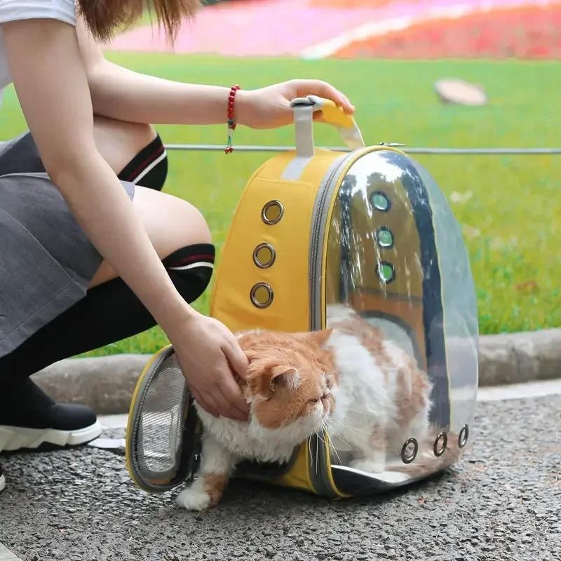 Large Capacity EVA & PU Cat Backpack Space Breathable Travel Bag Small Animals Featuring Animal Pattern