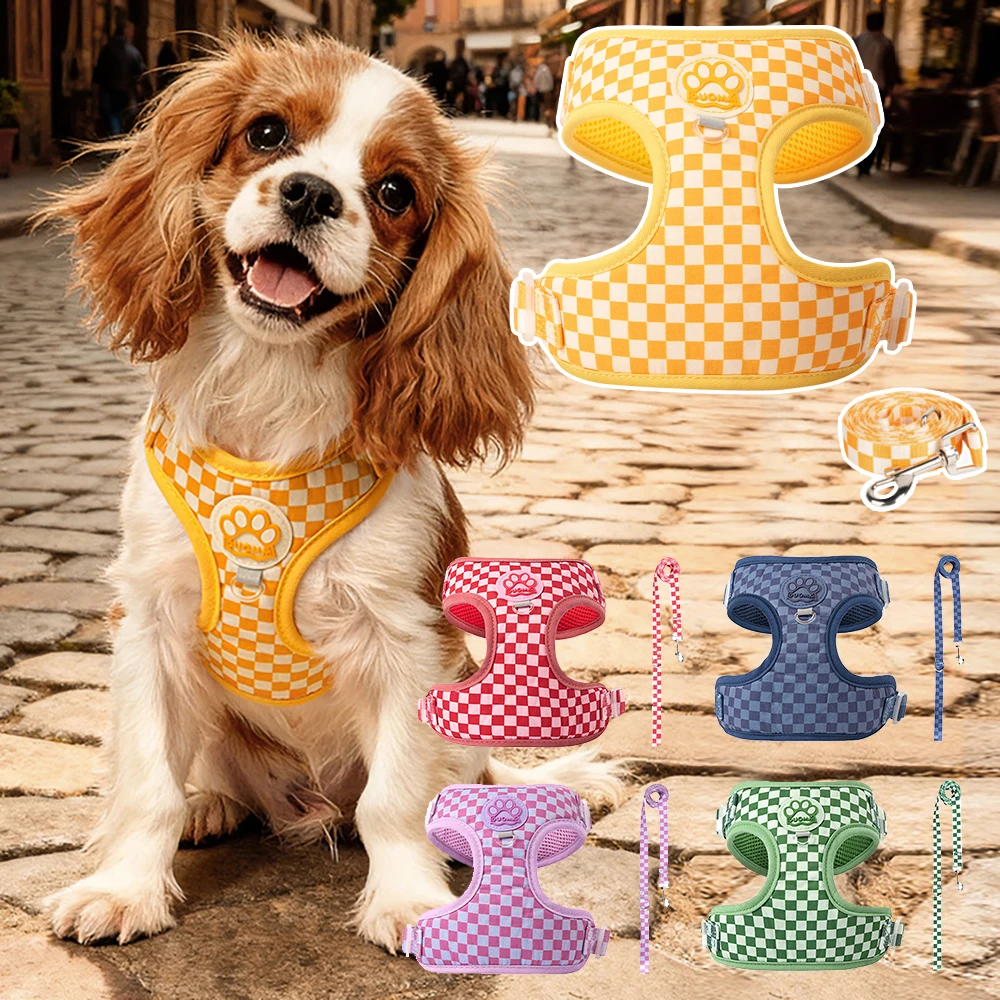 Adjustable Padded Dog Harness And Leash Set For Small Medium Pets_voghion.com