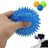 Bite Resistant Pet Chew Ball Toys for Small Large Dogs Elastic Buoyant Squeaky Puppy Big Dog Toy Border Shepherd Collie Supplies 1