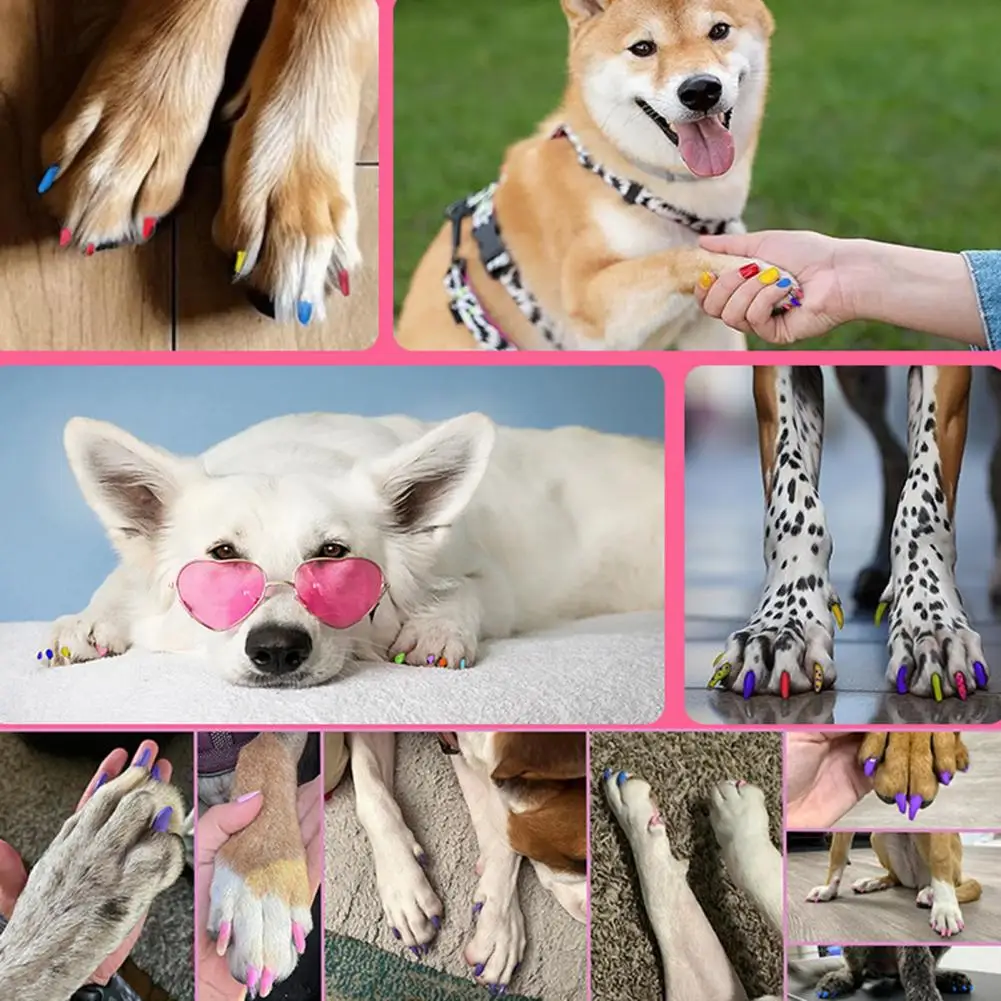 12 Bright Colors Pet Nail Art Pen 12-color Quick Dry Pet Nail Art Pen Set for Puppy Cat Soft Brush Tip Dog Polish for Small
